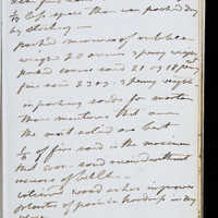 Page 41 (Image 1 of visible set)